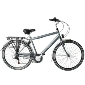 Wheelerz Herenfiets 6 Versnellingen 28 inch | City Bike - Grijs, 49 cm