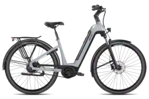 BesV CT-B 1.1