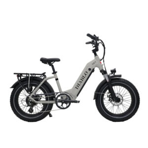 Diablo XR1 Fatbike grijs