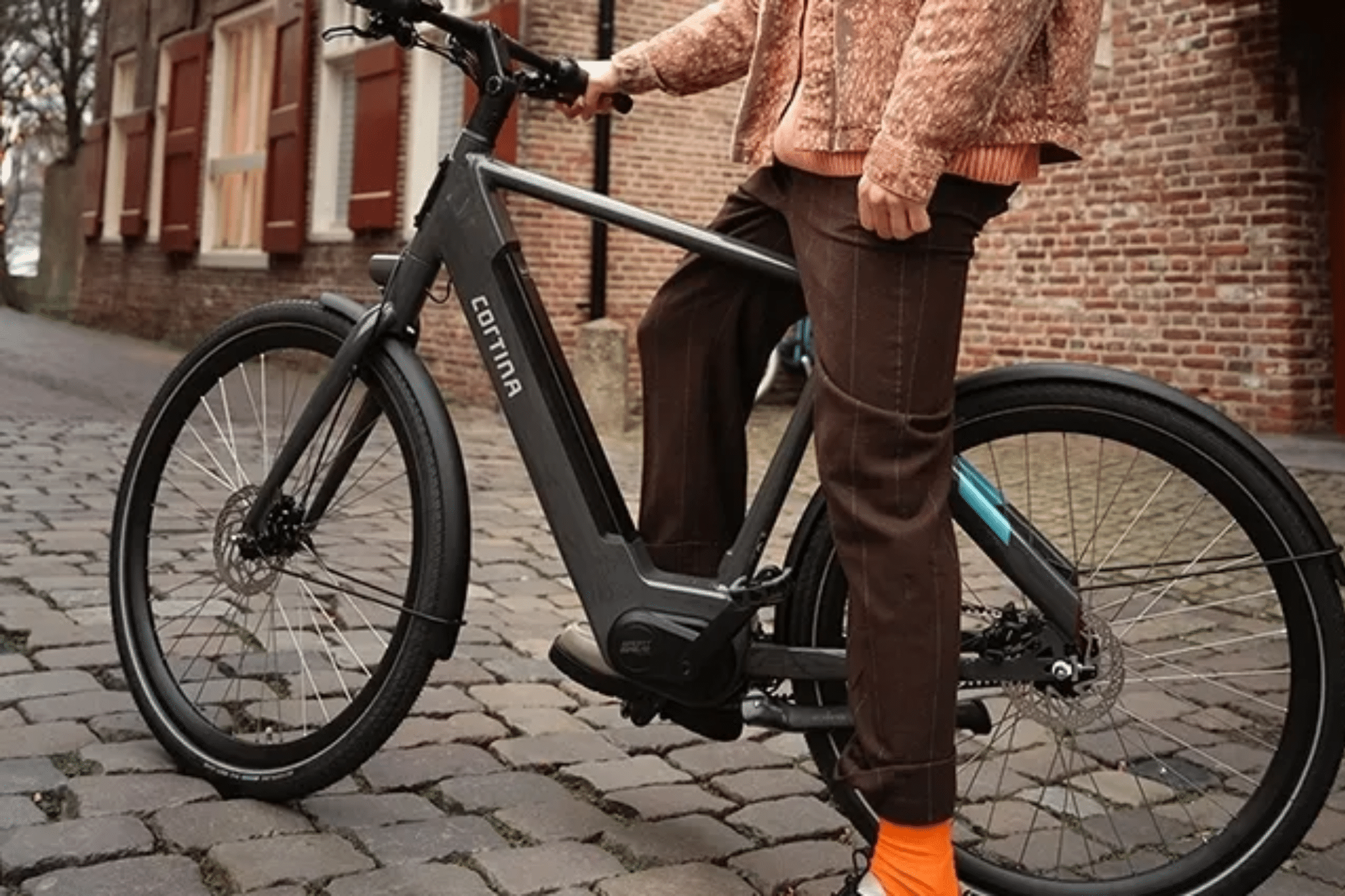 Elektrische Heren Fietsen
