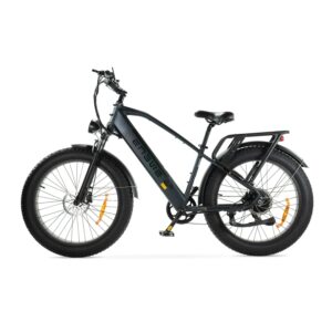 ENGWE E26 Elektrisch Fiets Hoge Instap  – 75 KM - 50 cm, Mat Zwart