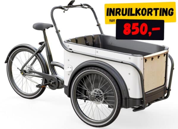 Royal Cargo Bike 3W Premium - Elektrische Bakfiets