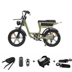 QmWheel V20 Comfort Fatbike 2026