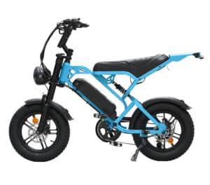 QmWheel V20 Mini Fatbike