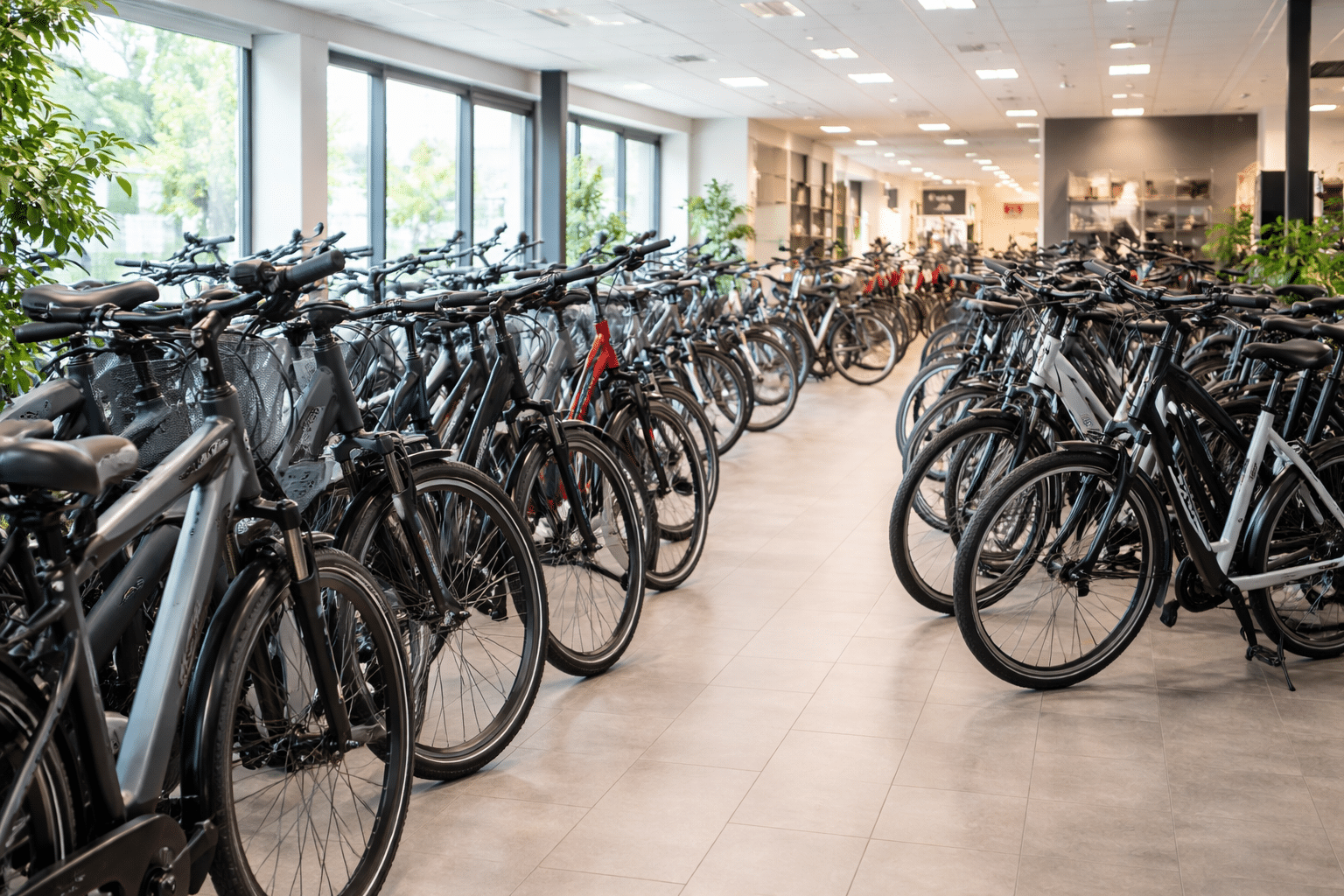 Fietsmerken en e-bike merken bij Freds2Wielers