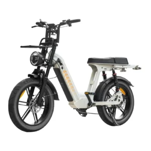 QmWheel D50 elektrische fatbike